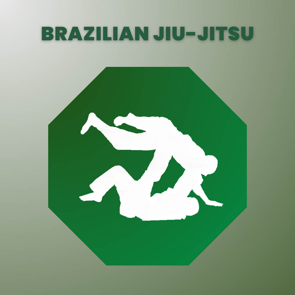 BRAZILIAN JIU JITSU